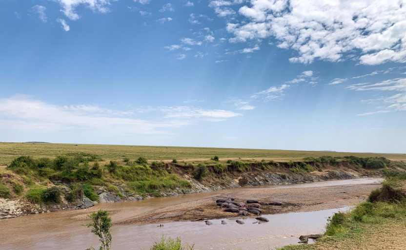 Others 2, Narasha Homestay - Maasai Mara, Narok West