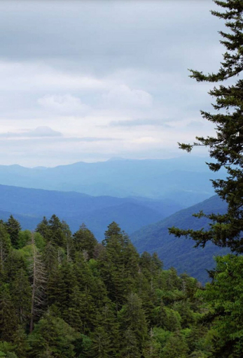 Exterior 5, Modern Style 2 Bed Condo Pool in Gatlinburg, Sevier