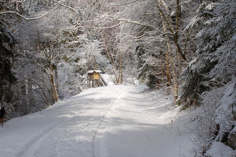 View from property 3, Doppelhaushalfte in Hasselfelde, Harz