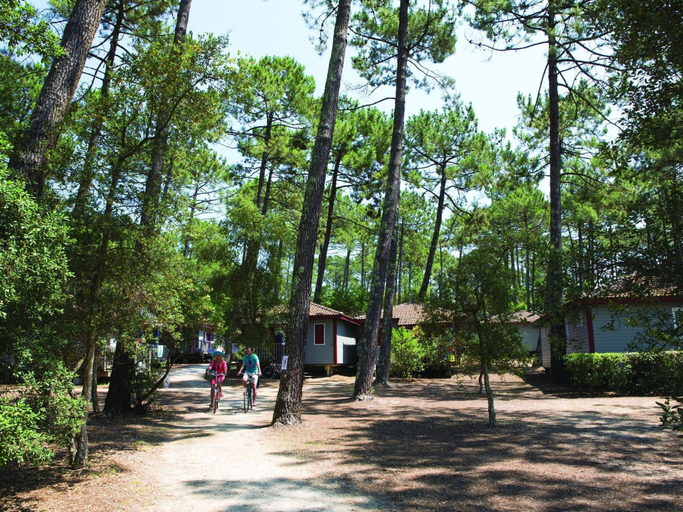 View from property 4, Residence Landes, Moliets - Holiday Home With Terrace, Landes