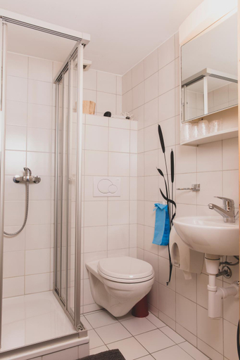 Bathroom 3, Hotel Le Besso - Swiss Romantic Lodge Zinal, Sierre