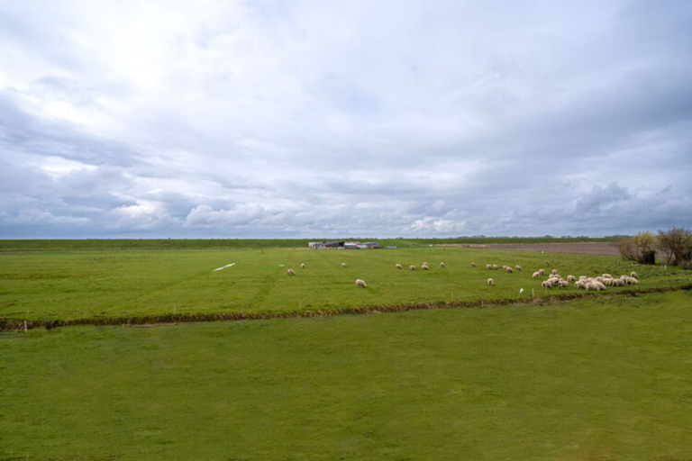 View from property 2, Doppelhaushalfte in Karolinenkoog, Dithmarschen