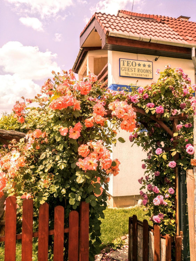 Others 5, Teo Guest Rooms, Sanmartin
