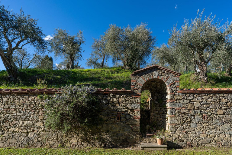 Alloggi in Villa storica, Pistoia