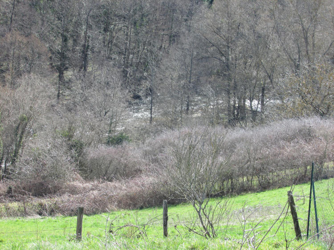 2, Bernadette, Allier