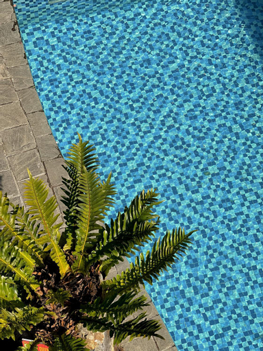 Swimming Pool 10