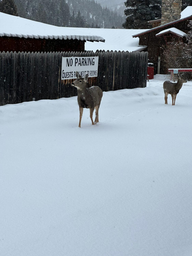 Others 5, Deer Lodge, Taos