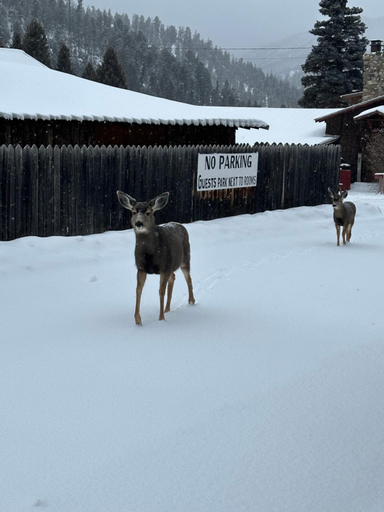 Others 4, Deer Lodge, Taos