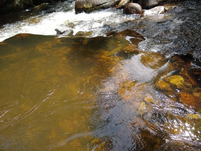 Others 5, Pousada Murmurio das Aguas, São José dos Campos