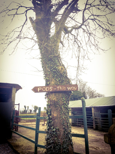 Others 4, Carrigeen Glamping