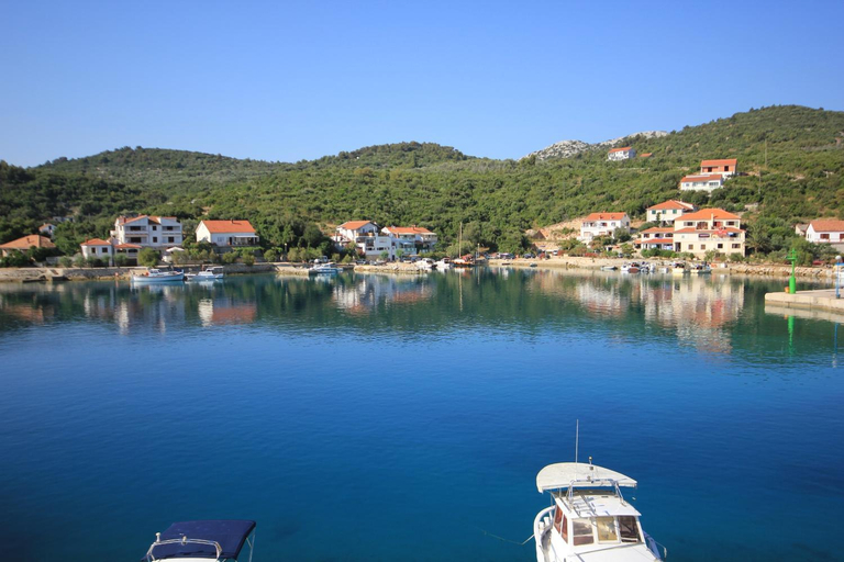 Others 3, Double Room Zaglav 8144a, Sali