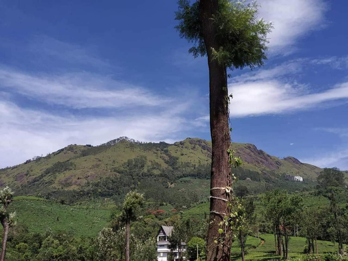 Others 4, Gruenberg Tea Plantation Haus, Idukki