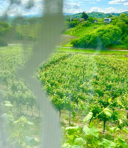 Others 2, Wine Paradise, Sveti Ivan Zelina