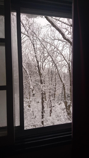 Others 5, Hakuba Matata Lodge, Hakuba