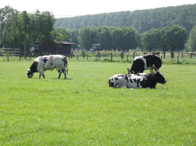 Others 2, B&B Altijd Genieten, West-Vlaanderen