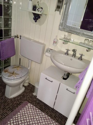 Bathroom, Logies Het Tuinhuisje, Enschede
