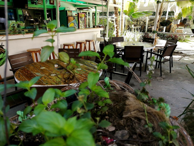 Food & Drinks 4, Riviera Punta Cana Eco Travelers, Salvaleon de Higuey