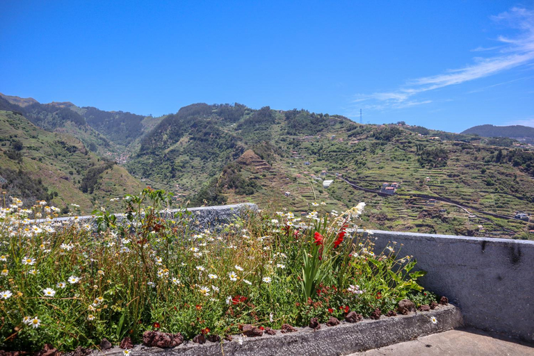 Others 5, Casas Tipicas Candelaria Tabua, Ribeira Brava