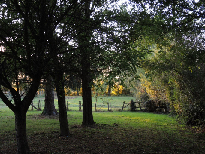 Scenery 1