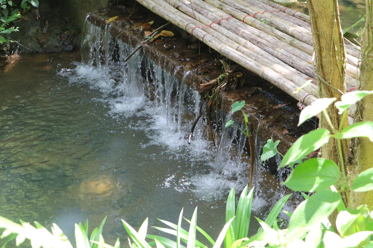 Others 5, Baan Rai Me Rak, Phuket Island