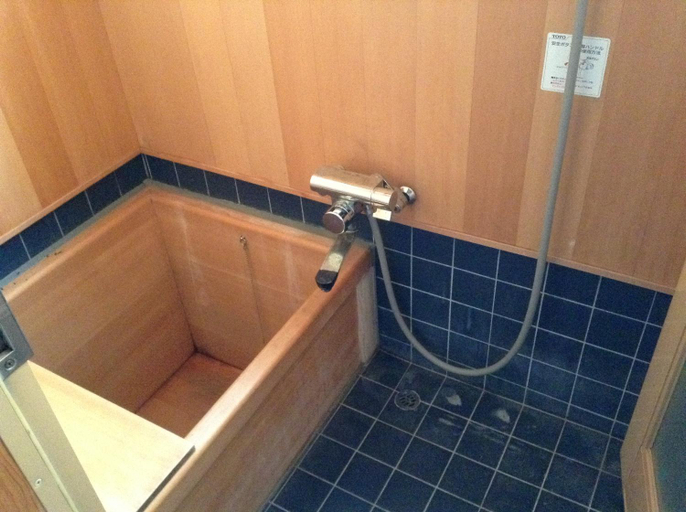 Bathroom 2, Chitosekan, Nozawaonsen