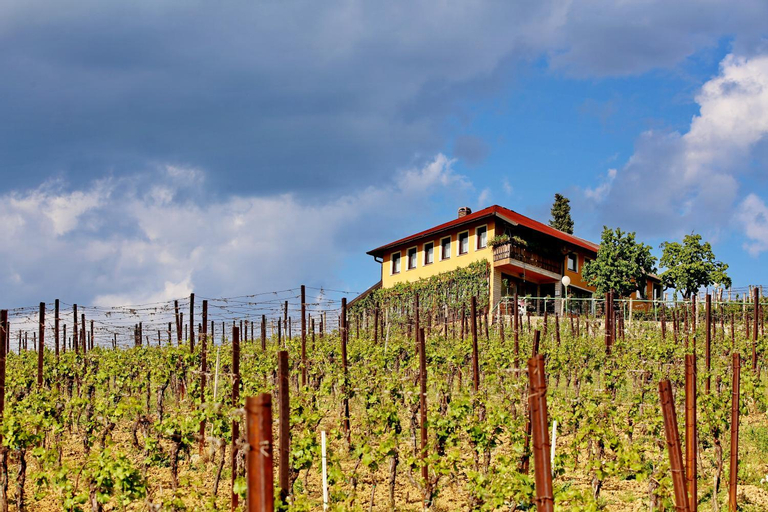 Wine Paradise, Sveti Ivan Zelina