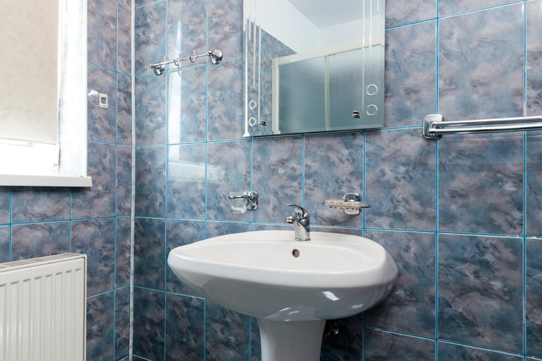 Bathroom 1, Casa ARBO, Calimanesti