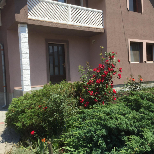 Others 2, Becze Vanda kulcsoshaz, Lazarea