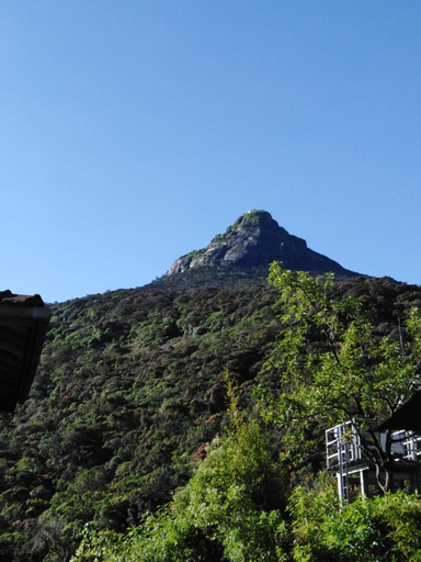 Others 5, The Peak Residence, Ambagamuwa