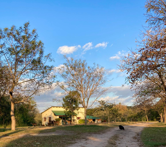 Others 5, Bergdale Cottages, Ehlanzeni