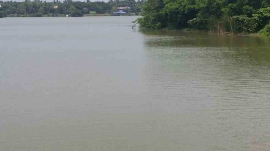 Others 4, Sunhill Lake Tourist Rest, N. Palatha East