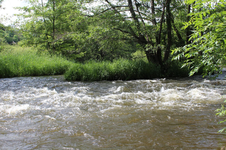 4, Bernadette, Allier