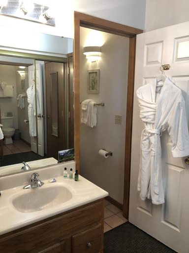 Bathroom 1, Streamside on Fall River, Larimer