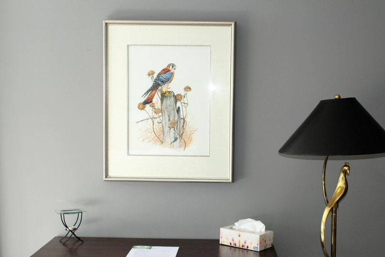 Others 4, Tailwinds B&B, Wellington