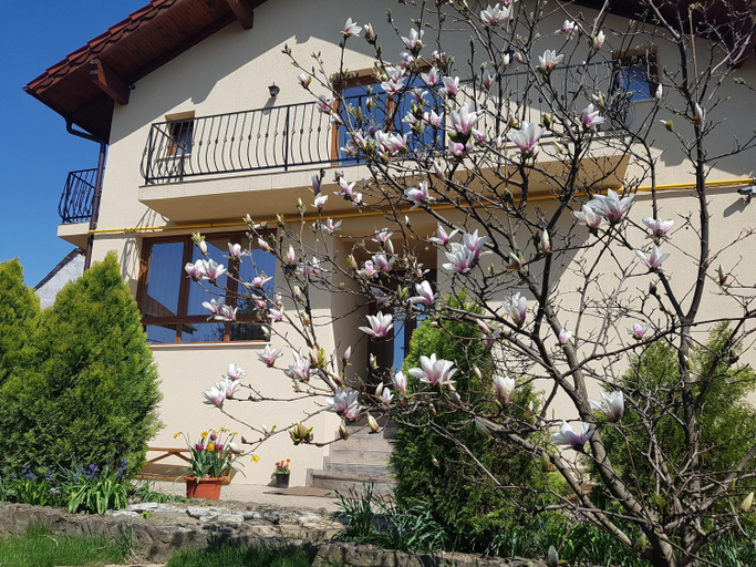 Others 4, Casa Irinella, Satu Mare