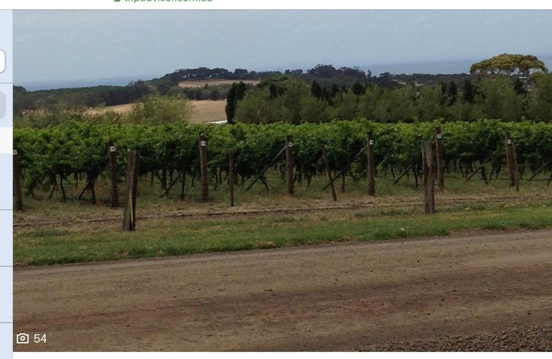 Food & Drinks 3, We Love the Bay short stays private suite 1 to 3 days, Greater Geelong - Pt B