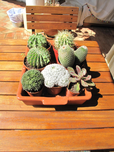 Others 3, Casa dos Cactos, Odemira