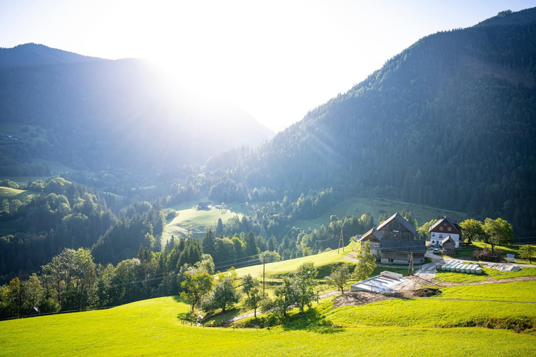 Surrounding environment 5, Kock-Chalet, Liezen