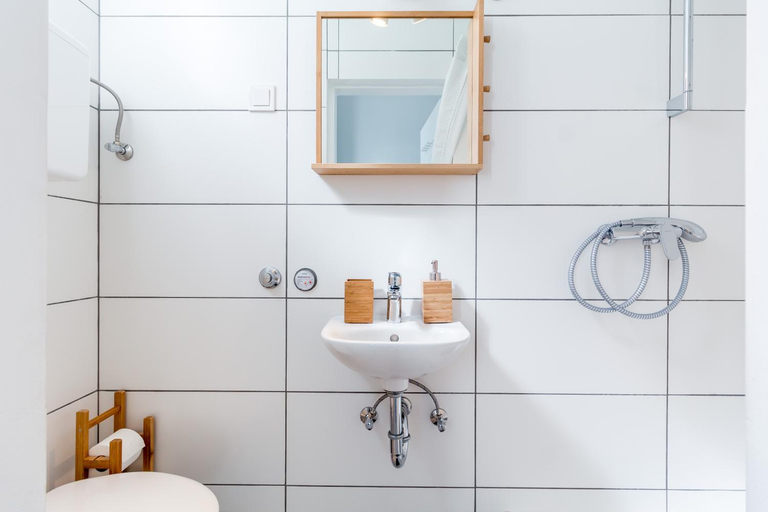 Bathroom 2, Flexible SelfCheckIns 13 & 14 - Le Petit & Le Grand Zagreb - Centre - New - Apartments Repinc, Zagreb