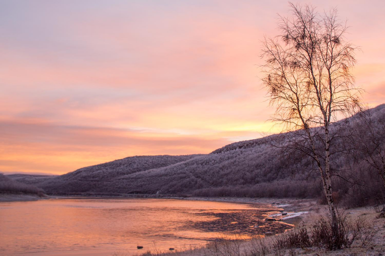 Others 5, Lohi-Aslakin Lomamokit, Lapland