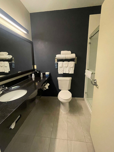 Bathroom 4, Fairfield Inn & Suites Minneapolis St. Paul / Roseville, Ramsey