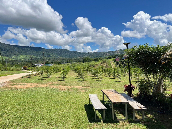 Scenery 13