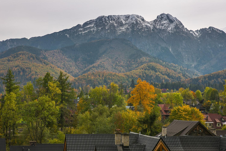 Others 4, Rent like home - Ubocz 1D, Tatra