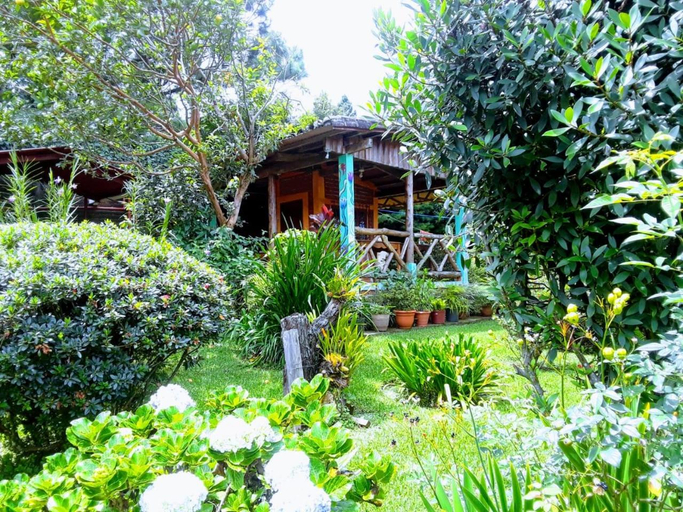 Others 5, HOSTAL CABANAS AVE MARIA, Concepción de Ataco