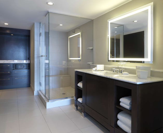 Bathroom 5, The Condado Plaza Hotel