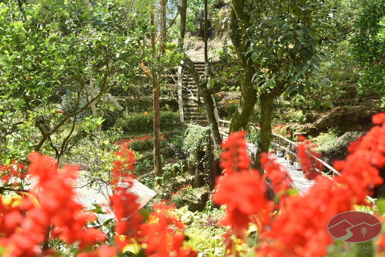 Others 5, Skyland Garden Hotel and Resort, Baguio City