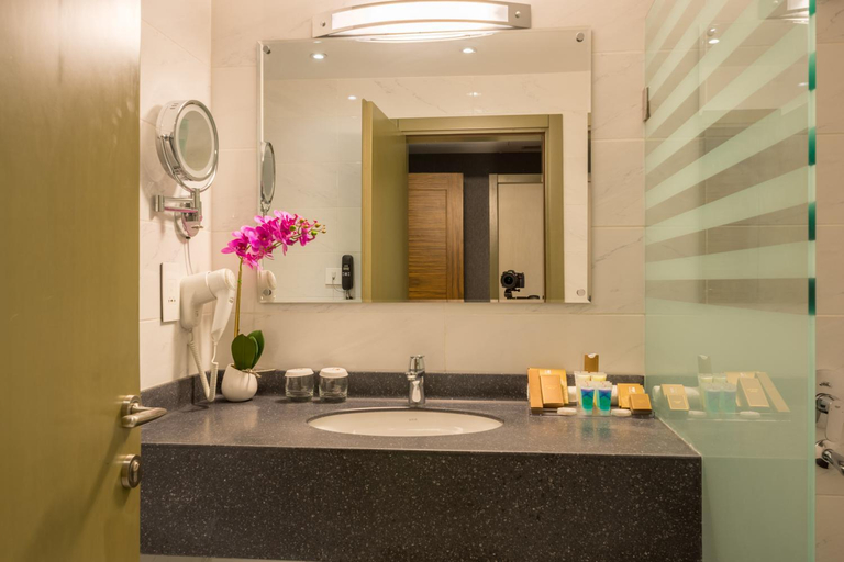 Others 4, LA ROCHE HOTEL, Arbil