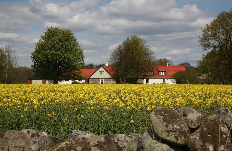 Others 3, Stenrosgarden, Simrishamn