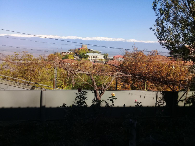 Surrounding environment 3, Apartment Giorgi in Sighnaghi, Signagi
