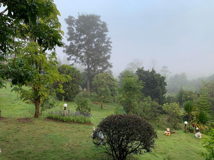 Scenery 4
